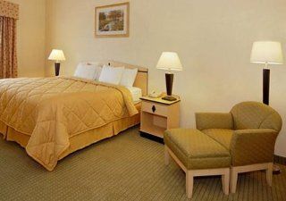 Comfort & Airport Convention Center Hotel